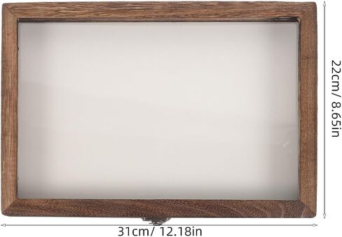 SEWACC Wall-Mount Wooden Insect Display Case with Clear Acrylic Window Specimen Box for Butterfly and Bug Collection, Sturdy Dried Flower Storage Holder in Kuwait