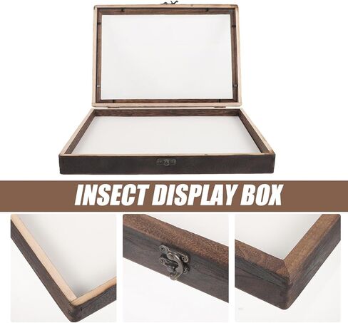 SEWACC Wall-Mount Wooden Insect Display Case with Clear Acrylic Window Specimen Box for Butterfly and Bug Collection, Sturdy Dried Flower Storage Holder in Kuwait
