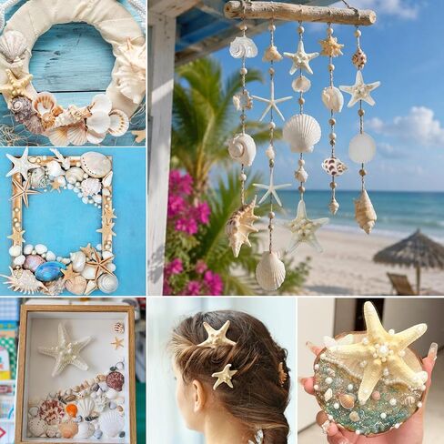 JQAQJU Sea Shells Mixed Ocean Seashells 20 Kinds, Starfish Seashells for Crafts, Various Sizes Natural Conch Sea Shells for Decorating, DIY Crafts, Vase Filler, Beach Party, Fish Tank, Home Wedding in Saudi Arabia