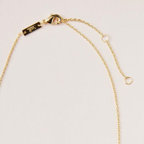 Scout Curated Wears - Intention Charm Necklace - Labradorite/Gold in Kuwait
