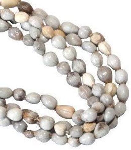 RUDRADIVINE Natural Vaijanti Mala 108 +1 Beads Mankas 100% Original Vajyanti Mantra Japa Peace and Tranquility Guaranteed 100% Original Stone in Saudi Arabia