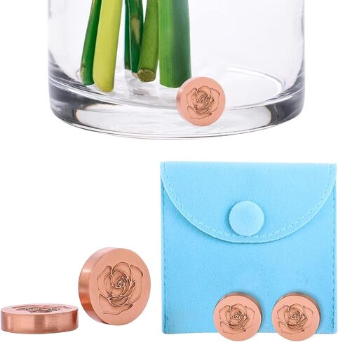 Copper Flower Food Alternative – Reusable Flower Vase Copper Charms, Keeps Cut Flowers Fresh Longer for Home and Gift(Heart Set) in Saudi Arabia