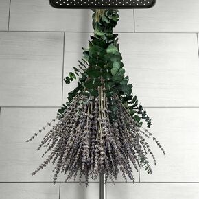 12 PCS Dried Eucalyptus Stems for Shower Hanging, 100% Made from Fresh Leaves, 17" Preserved Eucalyptus for Vase Filler, Wedding, Farmhouse, Bathroom, Home & Spa Decor in Saudi Arabia