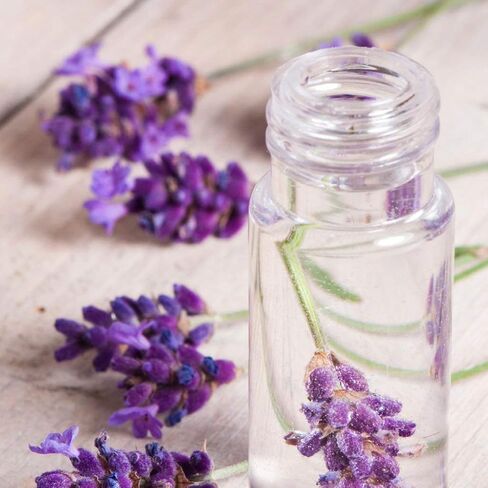 OPO Lavender Hydrosol Spray 8 oz & Sprayer Pure Steam Distilled Vegan Toner Spritz Cleanser Water Calming Toning Aromatherapy Body Mist Linens Makeup Gentle Hydrosol Water - Packaging May Vary in Saudi Arabia