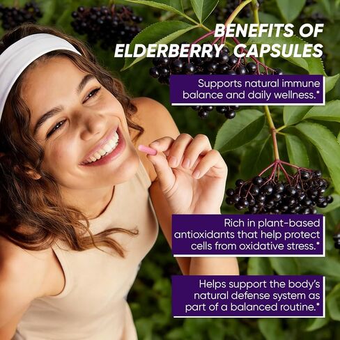 Elvera Elderberry, Elvera Gut Support Complex، 1200 مجم من مستخلص Sambucus Elderberry، الزنك + فيتامين C تركيبة متقدمة، صحة الجهاز الهضمي وتعزيز الطاقة، 60 كبسولة in Kuwait