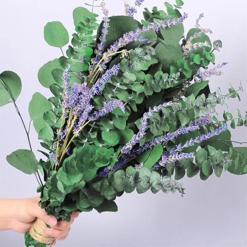 68 Pcs Dried Preserved Eucalyptus Stems & Lavender Flowers Bundles for Shower, 17'' Natural Real Live Eucalyptus Leaves Hanging Lavender Shower Plant, Fragrance, Decor in Saudi Arabia