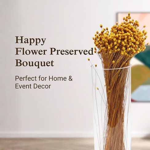 Happy Flower Preserved Bouquet - Preserved Botanical Flowers for Home Decor, Floral Arrangements, Crafts & DIY Projects - Hand-Harvested - 22" Long - Golden in Saudi Arabia