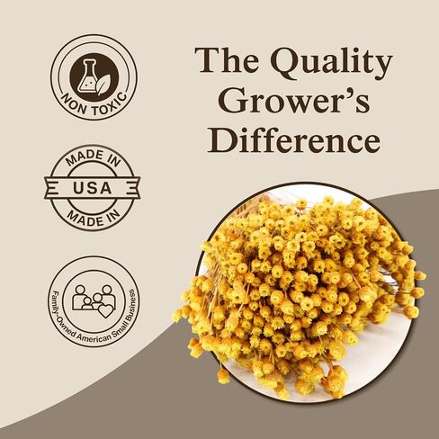 Happy Flower Preserved Bouquet - Preserved Botanical Flowers for Home Decor, Floral Arrangements, Crafts & DIY Projects - Hand-Harvested - 22" Long - Golden in Saudi Arabia
