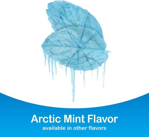 Nicotine Polacrilex Uncoated Gum 4 mg (Nicotine), Stop Smoking Aid, Arctic Mint Flavor in Kuwait