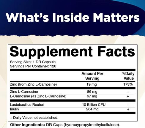 Vitamatic Zinc Carnosine with L. Reuteri 10 Billion CFU & Prebiotic Inulin 264 mg Digestive & Gut Health Support* - GI Tract Supplement – 120 Delayed-Release Capsules in Kuwait