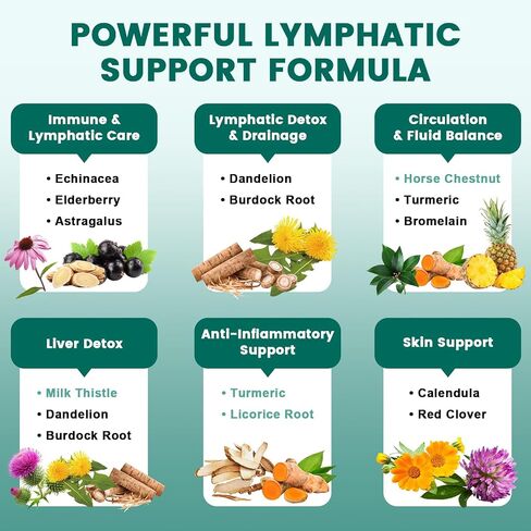 Lymphatic Drainage Capsules – Advanced Lymphatic System Support, Lymphatic Complex – with Echinacea, Dandelion, Bromelain, Horse Chestnut, for Fluid Balance, Immune & Liver Health – 60 Capsules in Kuwait