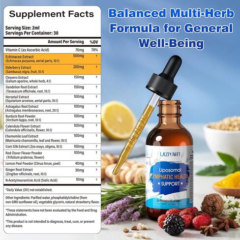 Lymphatic Drainage Drops – Liposomal Lymphatic Drainage Supplements with Echinacea 500mg, Elderberry, Burdock Root & Dandelion – Liquid Lymphatic Drops, 2 fl oz in Saudi Arabia