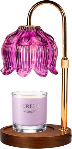 Candle Warmer Lamp with Timer, Dimmable Wax Melt Lamp for Large & Standard Jar Candles, Includes 2 GU10 Bulbs, Elegant Vintage Home Decor Gift for Women & Mom (A1-Green Red Lotus) in Kuwait