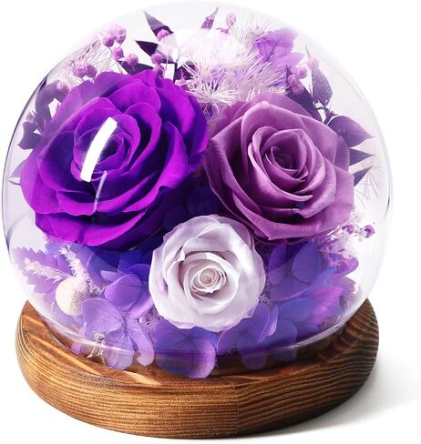 Mothers Day Flowers Gifts for Mom,Forever Preserved Roses in Glass Dome,Mothers Day Roses Gifts for Wife Mom Women Grandma from Daughter,Fresh Flowers for Delivery/Purple in Saudi Arabia