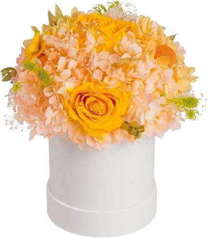 ROSEROSE Preserved Flowers for Delivery Prime,Forever Flowers Bouquet with Gift Box, Eternal Real flowers Gifts for Women,Christmas,Valentine's Day,Anniversary,Birthday for Her (Champagne) in Kuwait