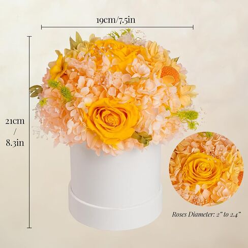 ROSEROSE Preserved Flowers for Delivery Prime,Forever Flowers Bouquet with Gift Box, Eternal Real flowers Gifts for Women,Christmas,Valentine's Day,Anniversary,Birthday for Her (Champagne) in Kuwait