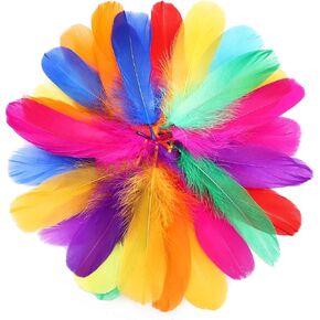 HaiMay 200 Pieces Black Feathers for Craft Wedding Home Party Decorations, 4-6 Inches Black Craft Feathers