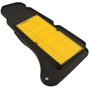 Hiflofiltro HFA4404 Premium OE Replacement Air Filter, Black
