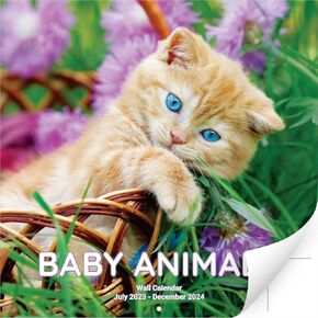 Super Cute 18 Month Baby Animals Wall Calendar 2025-2026. Big 12x12 Inch Novelty Gift With Puppies, Kittens and More. Great for Men, Women or Kids. Perfect Stocking Stuffer or Decor for Animal Lovers.