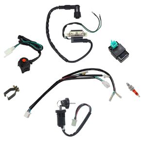 Wire Harness Wiring Loom CDI Ignition Coil Spark Plug Rebuild Kit Aftermarket Replacement Parts Fits for 50cc 70cc 90cc 110cc 125cc Stator CDI Coil ATV Quad Bike Buggy Go Kart Motorcycle.