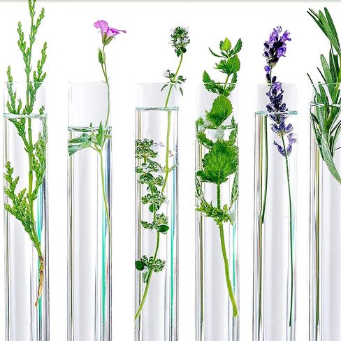 Test Tubes, 15Pcs 5ml Plastic Tube, Propagation Tubes, Test Tubes with Lids, Plastic Test Tubes, Test Tube, Test Tubes for Plants, Plastic Tubes with Caps, Clear Plastic Test Tubes with Cork Stoppers in Kuwait