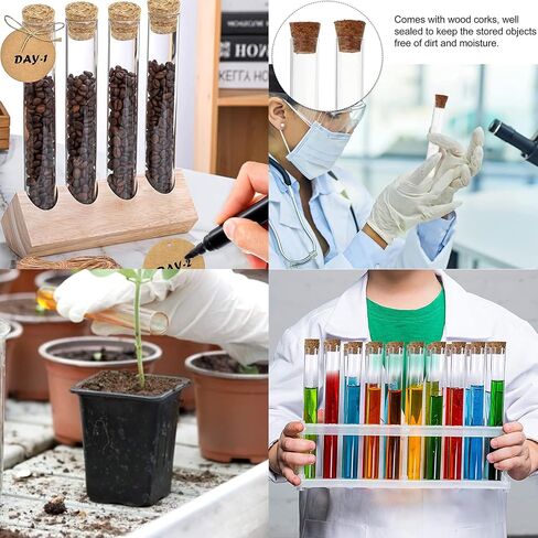 Test Tubes, 15Pcs 5ml Plastic Tube, Propagation Tubes, Test Tubes with Lids, Plastic Test Tubes, Test Tube, Test Tubes for Plants, Plastic Tubes with Caps, Clear Plastic Test Tubes with Cork Stoppers in Kuwait