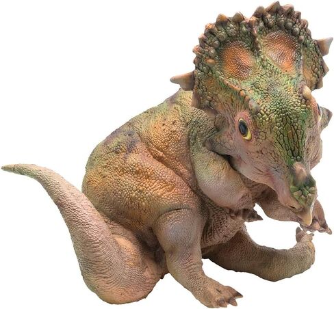 نماذج ديناصورات ما قبل التاريخ من PNSO: (27 A-Qi The Young Sinoceratops) in Kuwait