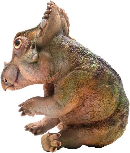 نماذج ديناصورات ما قبل التاريخ من PNSO: (27 A-Qi The Young Sinoceratops) in Kuwait
