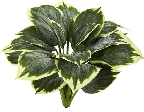 نبات هوستا الاصطناعي المتنوع الطبيعي تقريبًا (مجموعة من 6) in Saudi Arabia