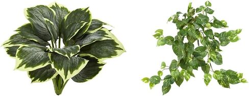 Nearly Natural Variegated Hosta Artificial Plant (Set of 6) in Saudi Arabia