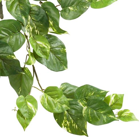 Nearly Natural Variegated Hosta Artificial Plant (Set of 6) in Saudi Arabia