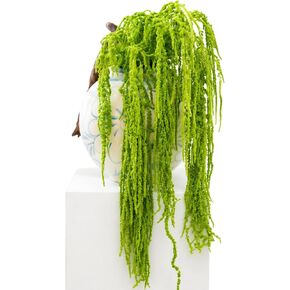 12 Pcs Neon Green Preserved Hanging Amaranthus Flowers - 23" Cascading Dried Flower Tassels for Wedding Arch, Floral Garland, Vase Arrangements & Home Decor in Saudi Arabia