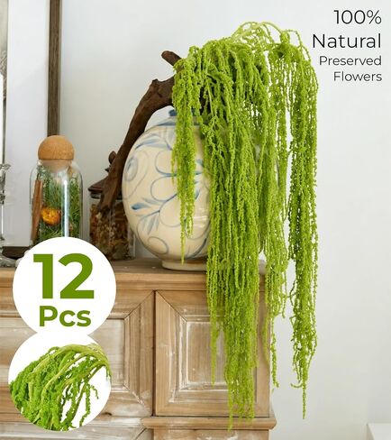 12 Pcs Neon Green Preserved Hanging Amaranthus Flowers - 23" Cascading Dried Flower Tassels for Wedding Arch, Floral Garland, Vase Arrangements & Home Decor in Saudi Arabia