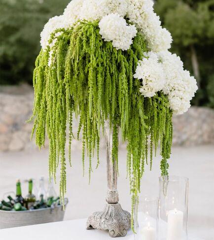 12 Pcs Neon Green Preserved Hanging Amaranthus Flowers - 23" Cascading Dried Flower Tassels for Wedding Arch, Floral Garland, Vase Arrangements & Home Decor in Saudi Arabia