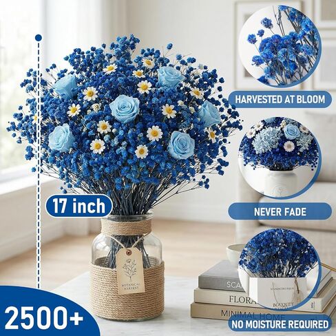 2500+ Dried Blue Babys Breath, 17' Preserved Royal Blue Flowers for Small Vase Decor, DIY Crafts, Wedding Accent, Gift Wrapping, Home Table Arrangement in Saudi Arabia
