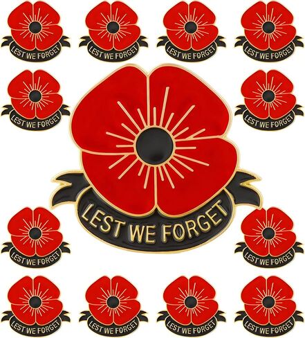 HAFILO 12/25/50/100 pieces poppy flower brooch pins Memorial Day lapel pin Metal enamel Lest We Forget Poppy Pins Veterans Day badge Souvenir gift bulk in Saudi Arabia