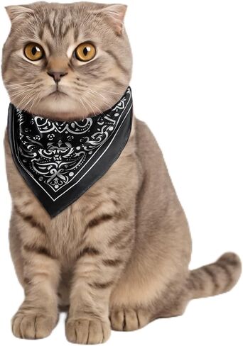 UPF 50+ Bandana Reversible Unisex Face Cover 24.4" Square Multi-Purpose Scarf Headband for Outdoor Hiking Riding in Saudi Arabia