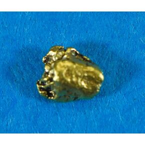 Alaskan-Yukon BC Gold Rush Natural Gold Nugget 0.25 Grams 10 Piece Lot Genuine in Saudi Arabia