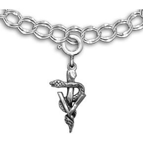 Sterling Silver Large Veterinary Caduceus Charm for Charm Bracelet - Gifts for Veterinarians - Vet Symbol Charm - Handcrafted in the USA in Kuwait