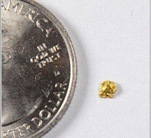 Alaskan-Yukon BC Gold Rush Natural Gold Nugget 0.25 Grams 10 Piece Lot Genuine in Saudi Arabia