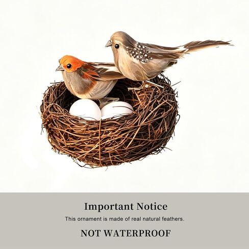 Fake Bird Decor Sparrow Figurines,6pcs Artificial Faux Real Feathers Ornament Birds Nest Eggs,Small Decorative,Clip On Birds For Christmas Tree Sunmmer Easter Home Decoration、Crafts、Statue Photo Props in Saudi Arabia
