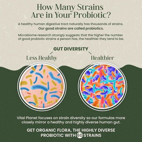 Vital Planet - Organic Flora Probiotics for Women, Women's Daily Shelf Stable Probiotic 30 Billion CFU, 60 Diverse Strains, Prebiotic Organic Mushroom Blend, Immune and Digestive Health 30 Capsules in Kuwait