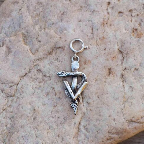 Sterling Silver Large Veterinary Caduceus Charm for Charm Bracelet - Gifts for Veterinarians - Vet Symbol Charm - Handcrafted in the USA in Kuwait