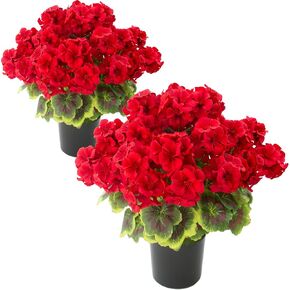 lovemoon 2 Pcs Geranium Potted Artificial Flowers, 19" Fake Geraniums Plants UV Resistant Silk Potted Plants for Outdoor Home Décor Office Porch Garden Decor (2, Red) in Saudi Arabia