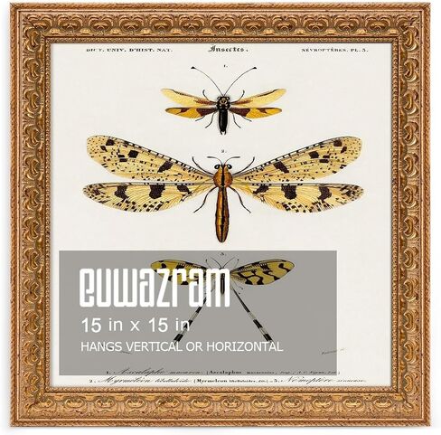 15x15 Ornate Vintage Gold Picture Frame - Single Frame, 15 x 15 Classic Poster Frame for Art Prints & Gallery Walls in Kuwait