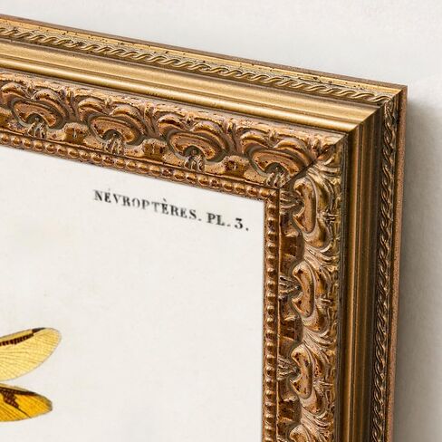 15x15 Ornate Vintage Gold Picture Frame - Single Frame, 15 x 15 Classic Poster Frame for Art Prints & Gallery Walls in Kuwait
