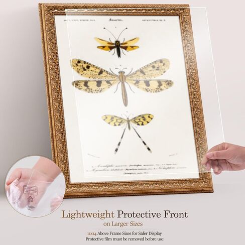 15x15 Ornate Vintage Gold Picture Frame - Single Frame, 15 x 15 Classic Poster Frame for Art Prints & Gallery Walls in Kuwait