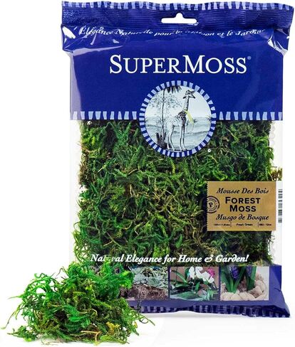 SuperMoss (25320) Forest Moss Preserved, Fresh Green, 2oz in Kuwait