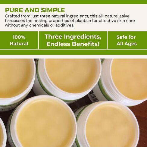 Harmony's Plantain Salve- 2oz in Saudi Arabia