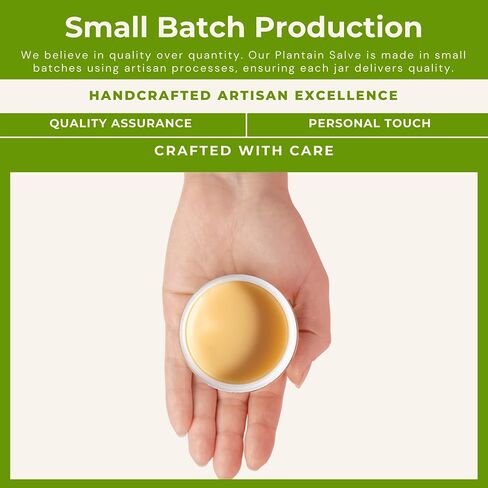 Harmony's Plantain Salve- 2oz in Saudi Arabia